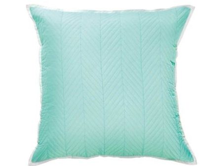 Vivid Mint Coordinates Cushion 43 x 43cm by Bianca Fashion