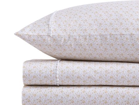 Daisy Honey Sheet Set by Royal Albert Online Sale