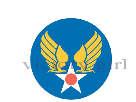 US Army Air Forces Insignia - Roundel Vinyl Decal Sticker For Discount