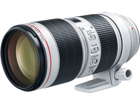 Canon EF 70-200mm f 2.8L IS III USM Lens Online