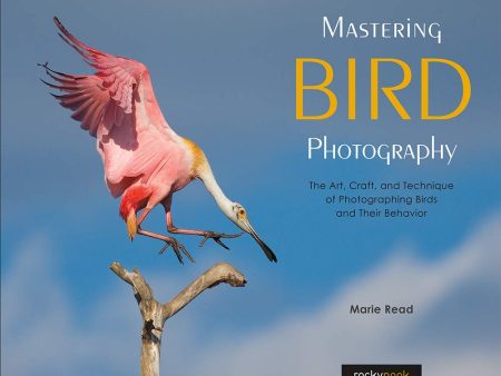 Rocky Nook Book: Mastering Bird Photography by Marie Read on Sale