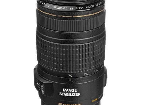 Canon EF 70-300mm F4-5.6 IS USM Online Sale