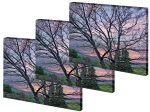 Medium Gallery Wrap Photo Tapestries- Volume Discounts For Sale