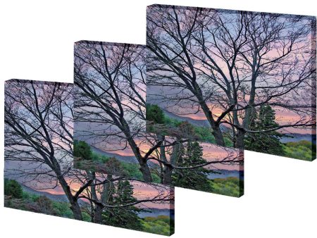 Medium Gallery Wrap Photo Tapestries- Volume Discounts For Sale