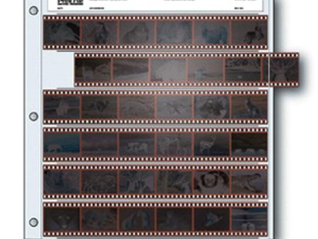 Print File Archival 35mm Negative Pages (6 Strip 6 Frame, 25 Pages) Supply