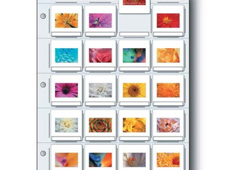 Print File Archival Storage Page for Slides, 35mm (2x2 ), Holds 20 Slides, Top-Load, Heavyweight (8-Mil), Clear Back (Binder Only) - Pack of 25 Online now