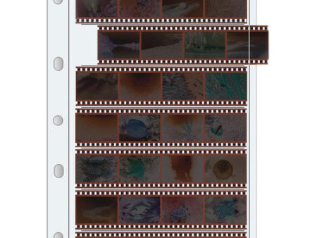 Print File Archival Storage Page for Negatives, 35mm, 7-Strips of 4-Frames (Binder Only) - 25 Pack Sale